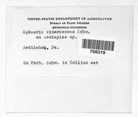 Image Associated With the Occurrence